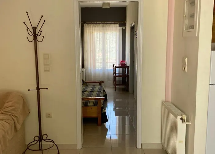 Sophie S House 公寓 利昂尼迪翁