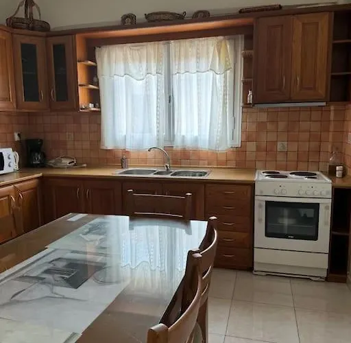 公寓 Sophie S House 利昂尼迪翁